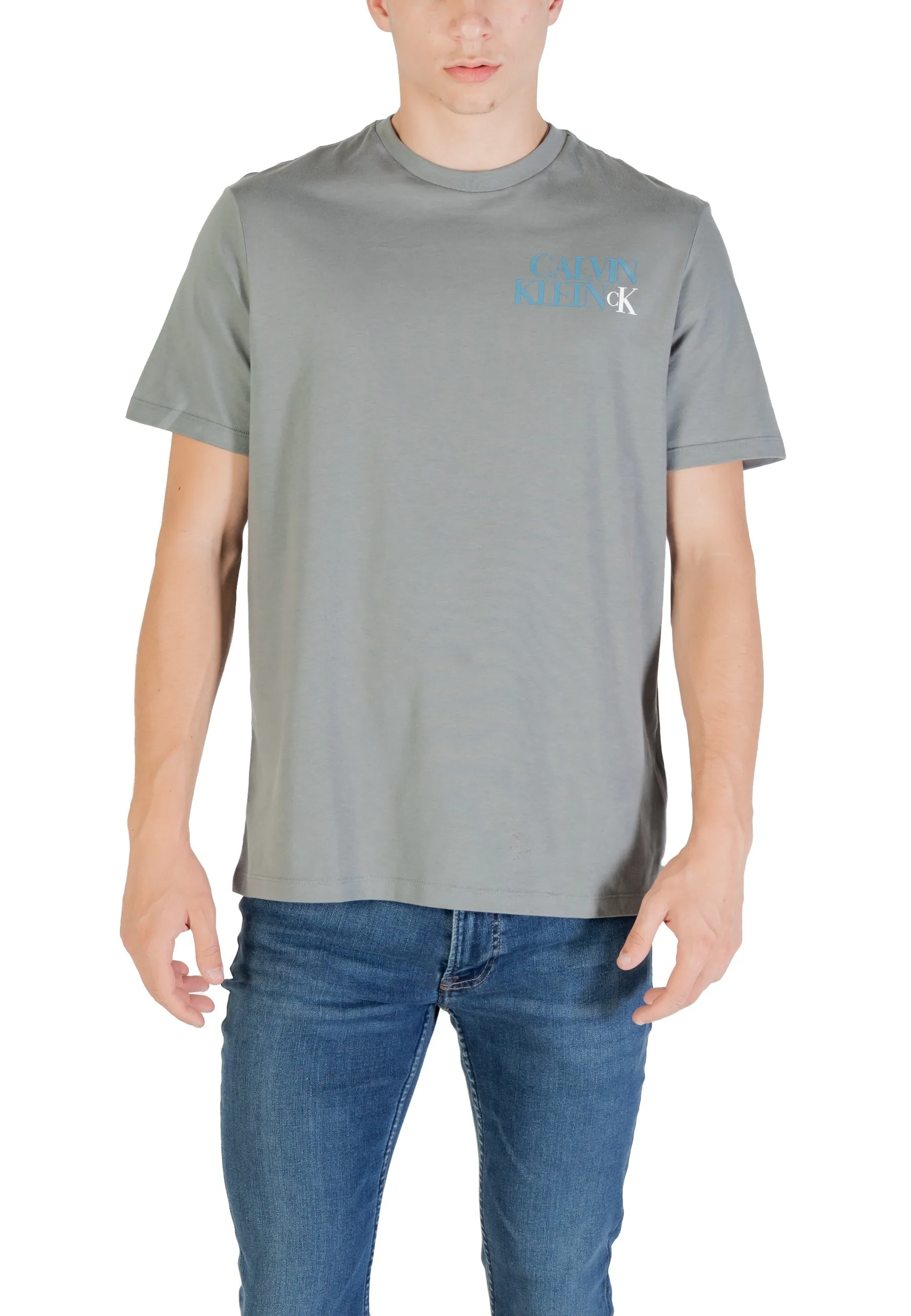 Herren T-Shirt Grau 488033
