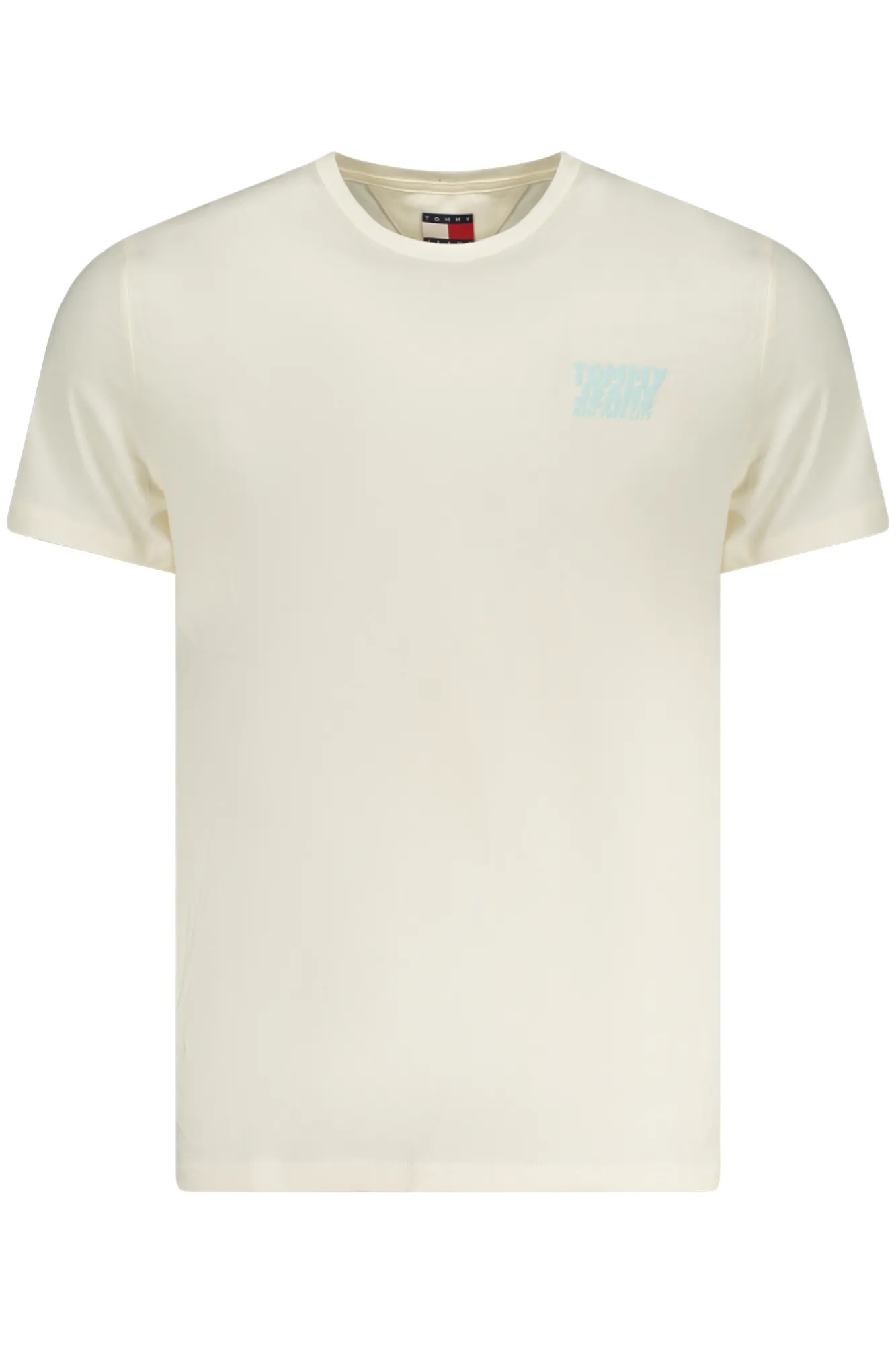 Herren KURZARM-T-SHIRT Beige DM0DM21863_BEYBH