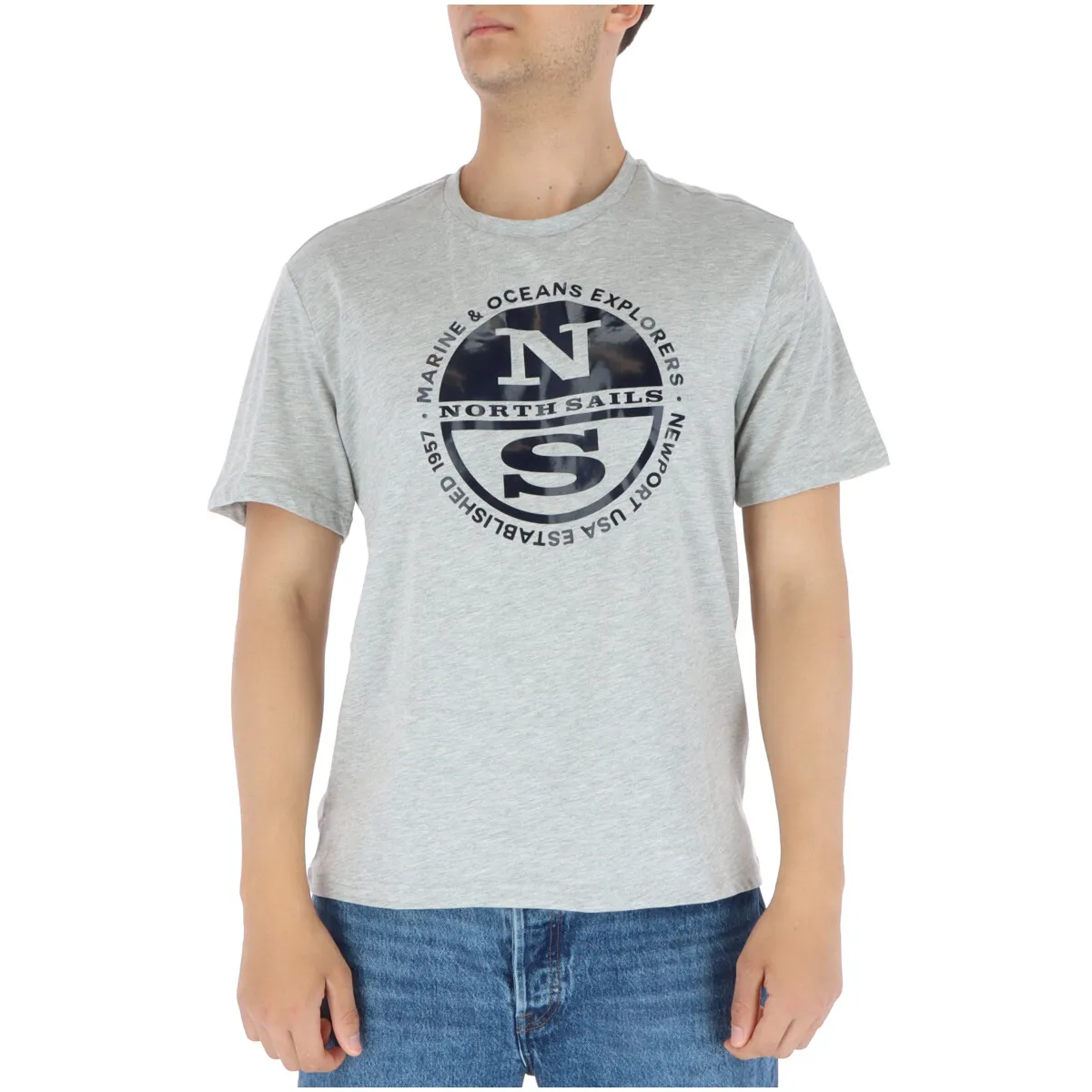 Herren T-Shirt Grau 278854
