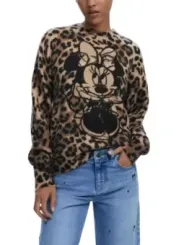 Desigual Damen Pullover Braun | online kaufen