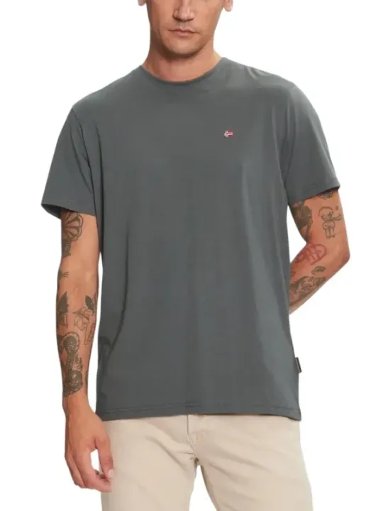 Napapijri Herren T-Shirt Grün | online kaufen